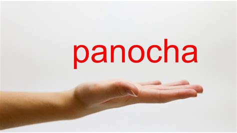 panocha definition|la panocha in english.